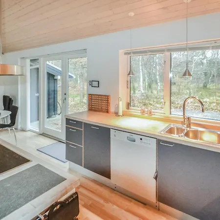 Ferienhaus Aspevej Iv